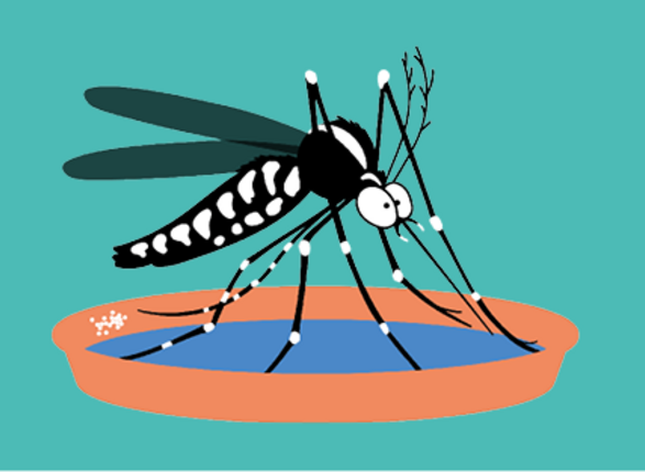 Moustique tigre : agir pour limiter les nuisances du printemps prochain ! 